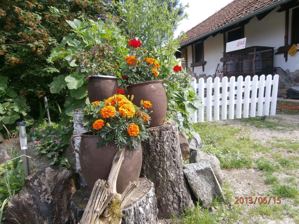 Ferienwohnung Straznica Komtura Mikołajki Exterior foto