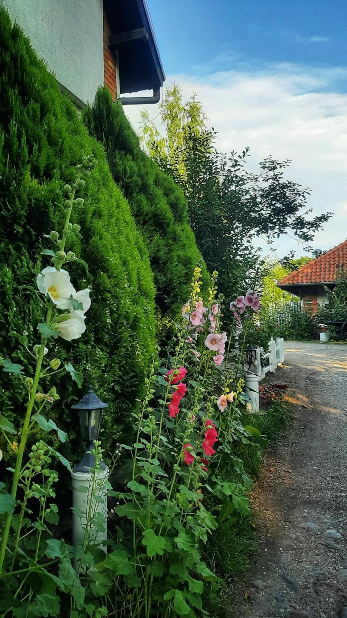 Ferienwohnung Straznica Komtura Mikołajki Exterior foto