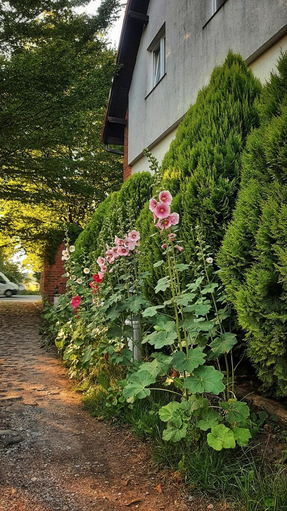 Ferienwohnung Straznica Komtura Mikołajki Exterior foto