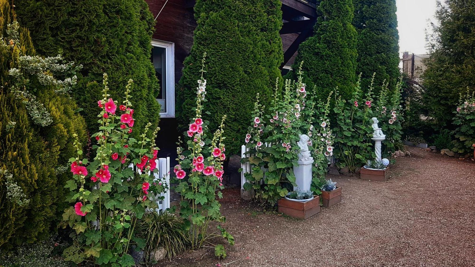 Ferienwohnung Straznica Komtura Mikołajki Exterior foto